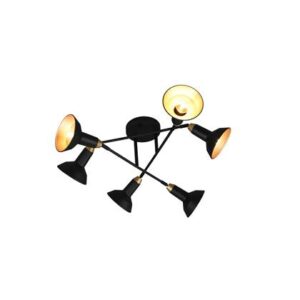 Plafondlampen Zwart Metaal van Trio Leuchten